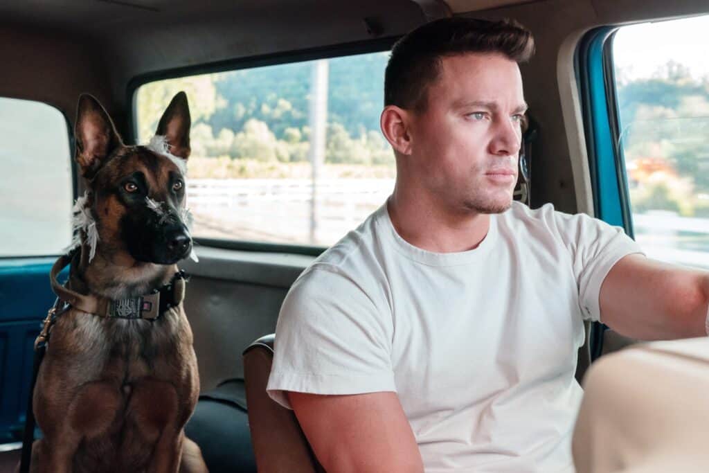 lulu in channing tatum v filmu pes