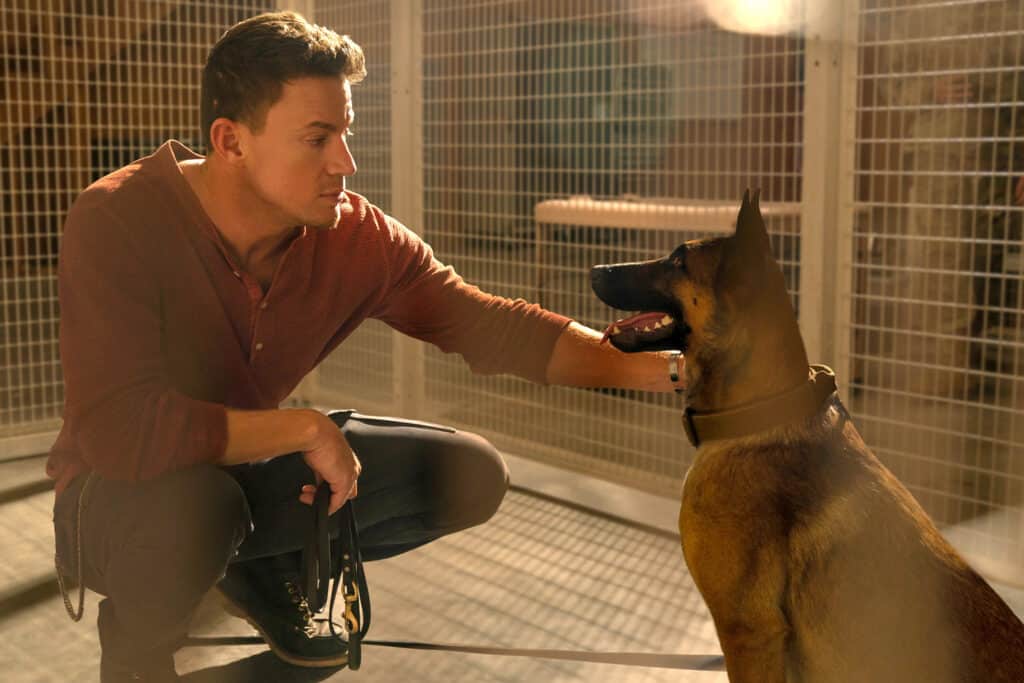 lulu in channing tatum v filmu pes