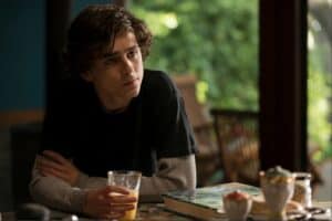 Chalamet Beautiful Boy