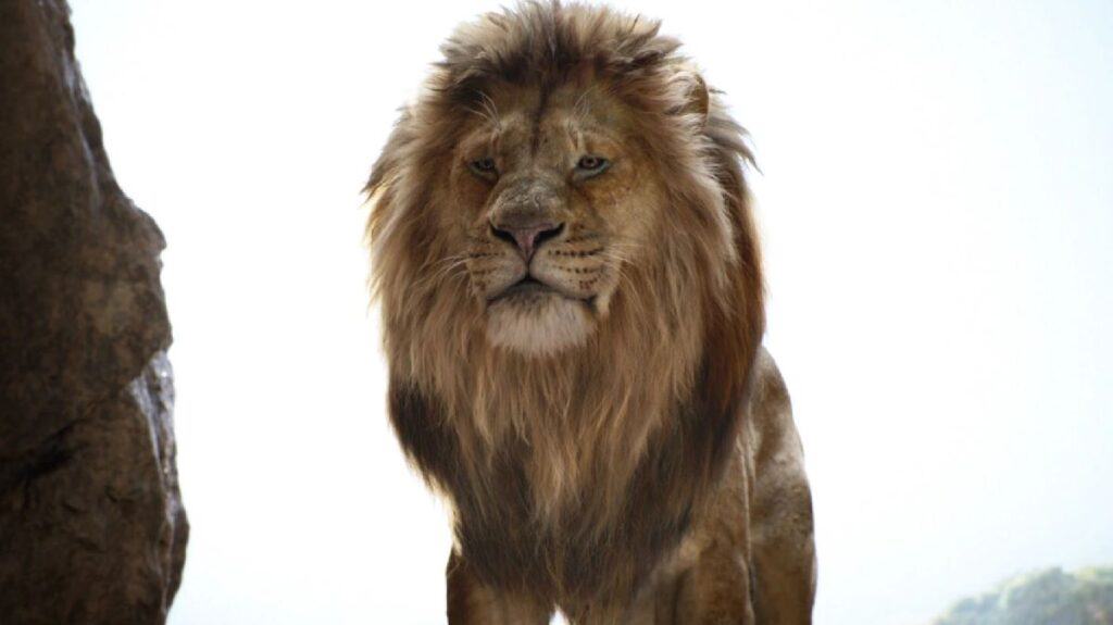 Mufasa